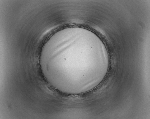 X0000113881112200910151307