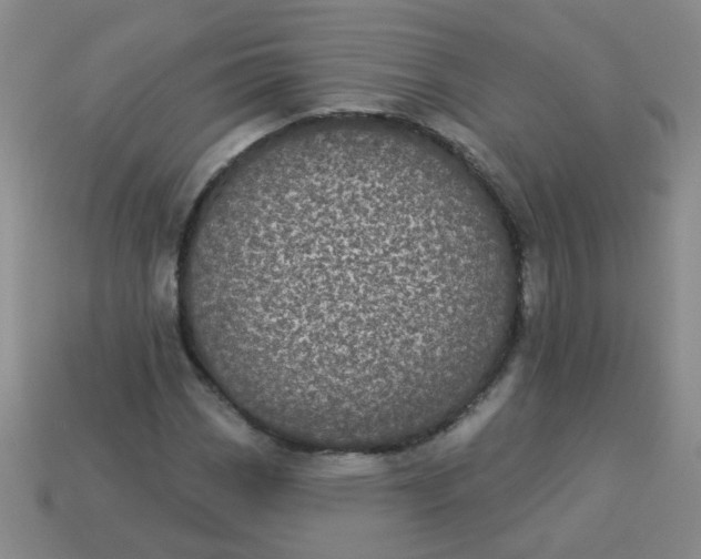 X0000113881113200910151307