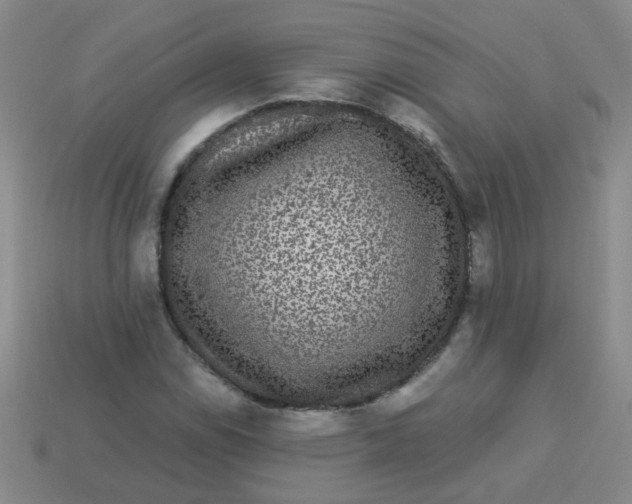 X0000113881114200910151307