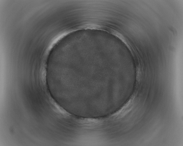 X0000113881115200910151307