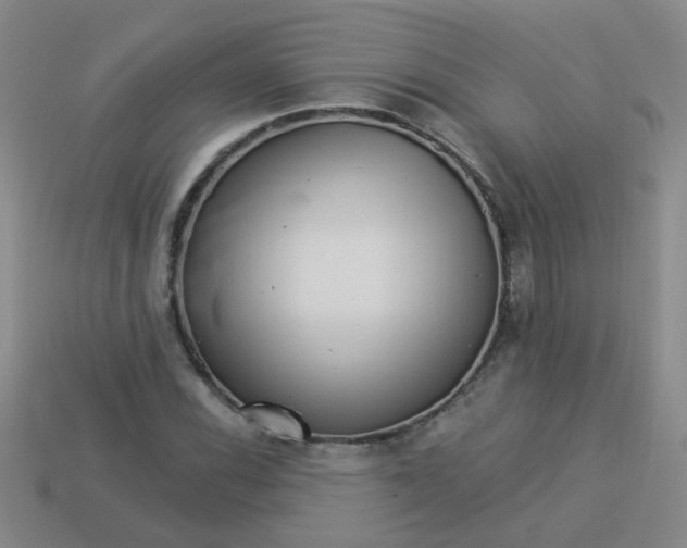 X0000113881116200910151307