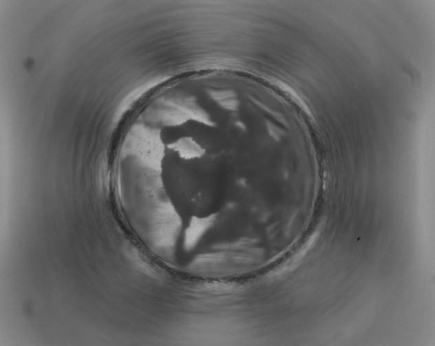 X0000113881117200910151307