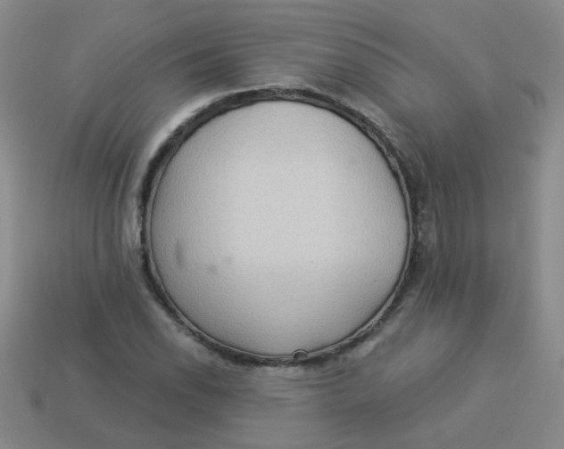 X0000113881118200910151307