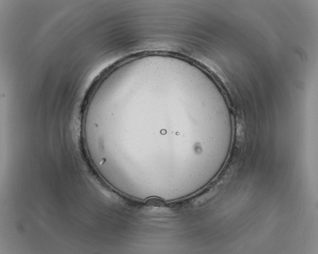 X0000113881119200910151307