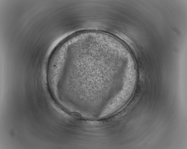 X0000113881120200910151307