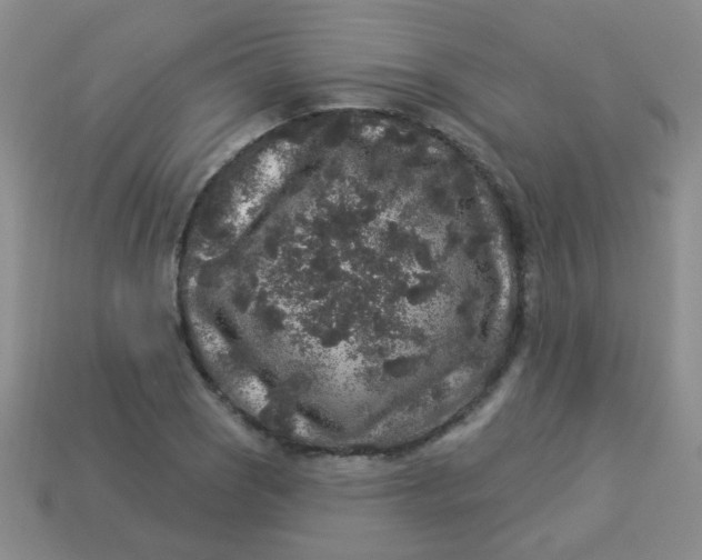 X0000113881121200910151307