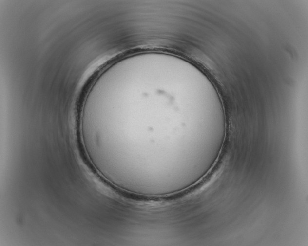 X0000113881122200910151307