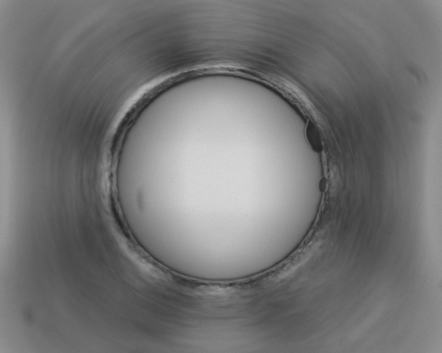 X0000113881124200910151307