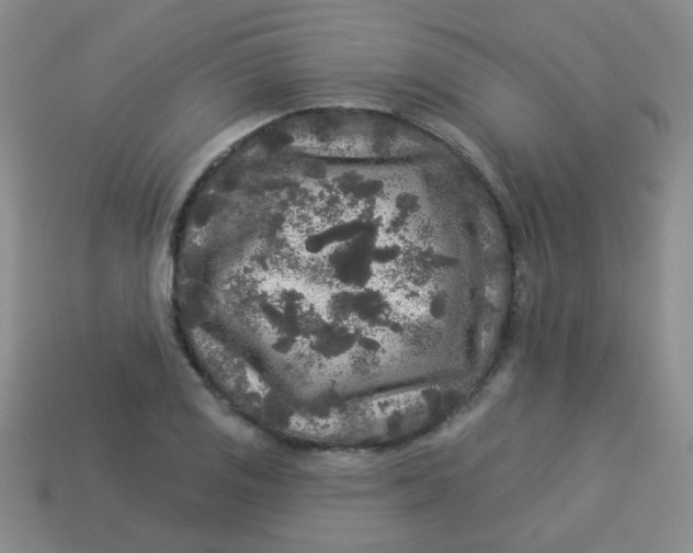 X0000113881125200910151307