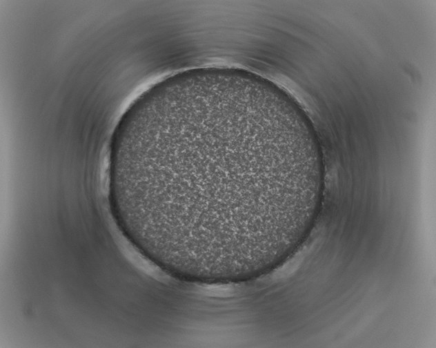 X0000113881126200910151307