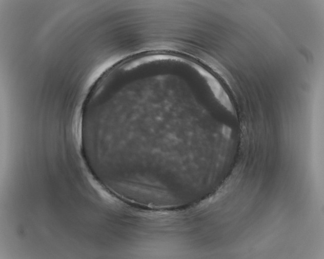 X0000113881127200910151307