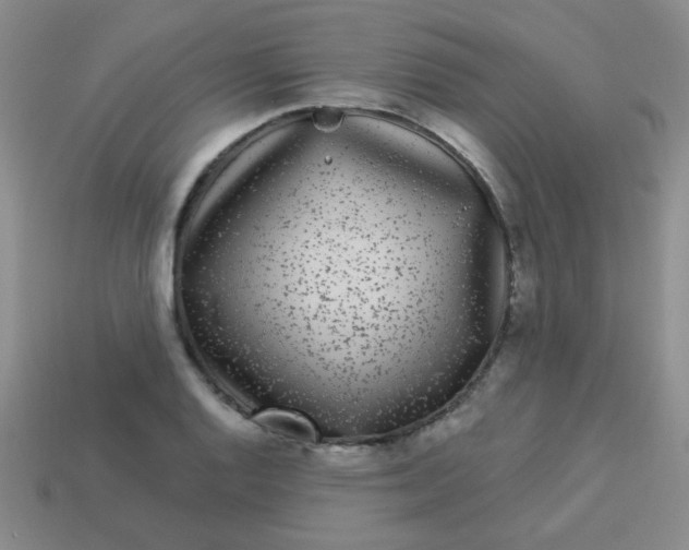 X0000113881128200910151307