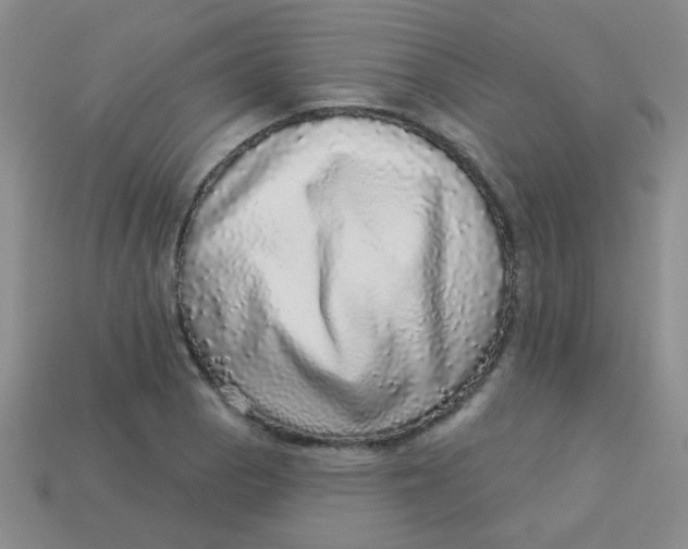 X0000113881129200910151307