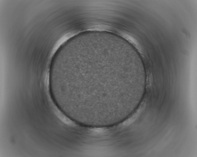 X0000113881130200910151307