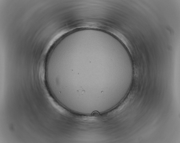 X0000113881131200910151307