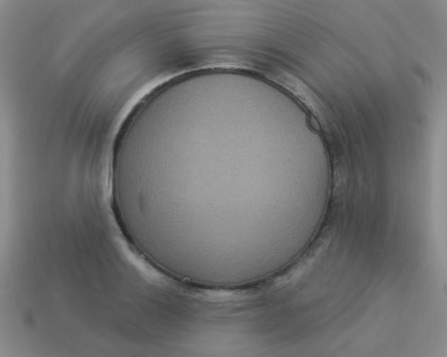 X0000113881132200910151307