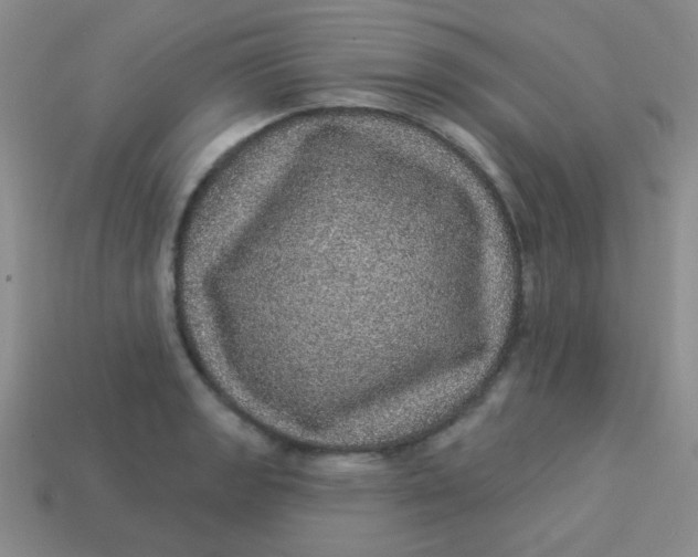 X0000113881133200910151307