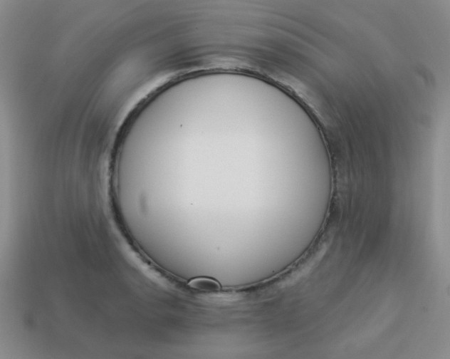 X0000113881134200910151307