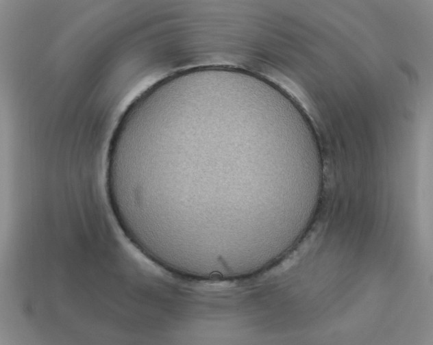 X0000113881135200910151307