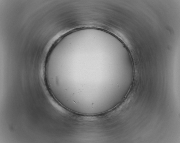 X0000113881136200910151307