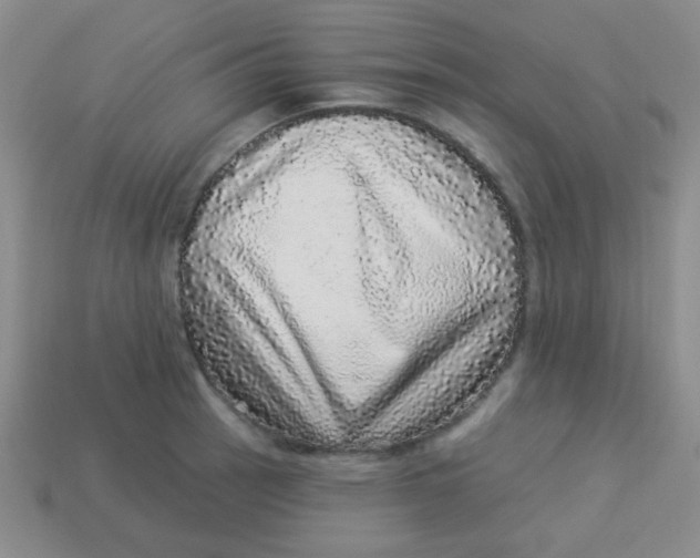 X0000113881137200910151307