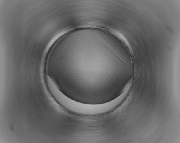 X0000113881138200910151308