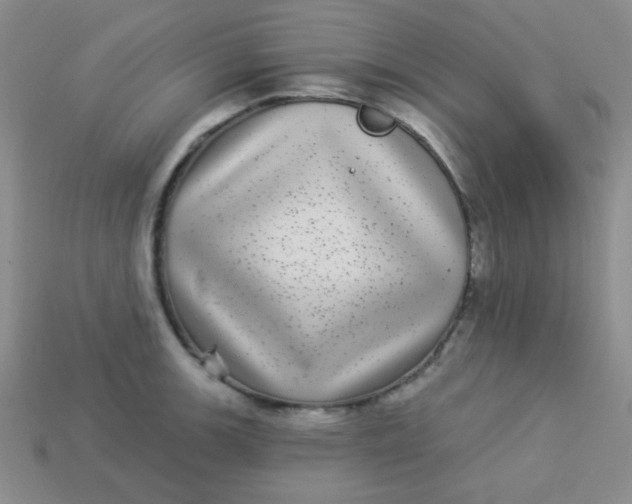 X0000113881139200910151308