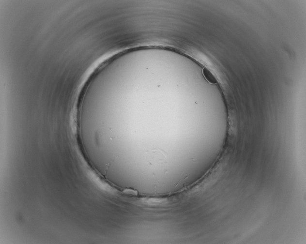 X0000113881140200910151308