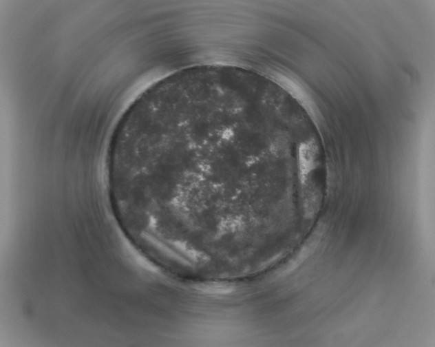 X0000113881141200910151308