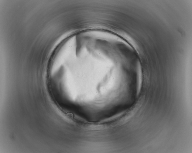 X0000113881142200910151308