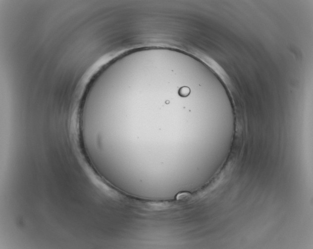 X0000113881144200910151308