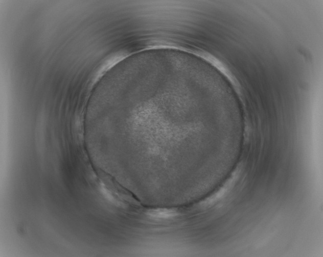 X0000113881145200910151308