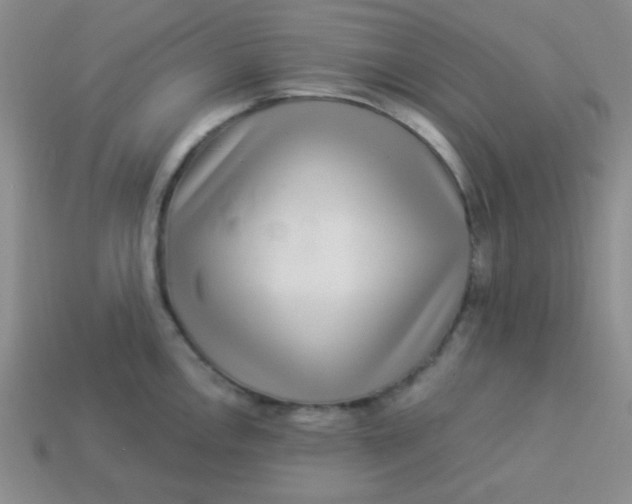 X0000113881146200910151308