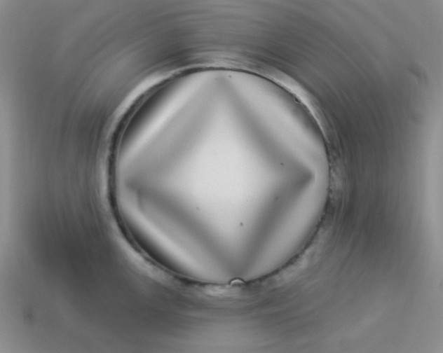 X0000113881147200910151308