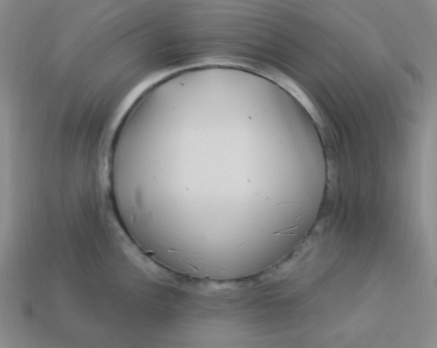 X0000113881148200910151308