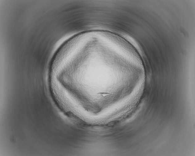 X0000113881149200910151308