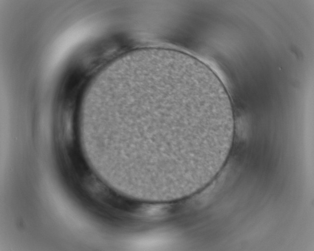 X0000113881150200910151308