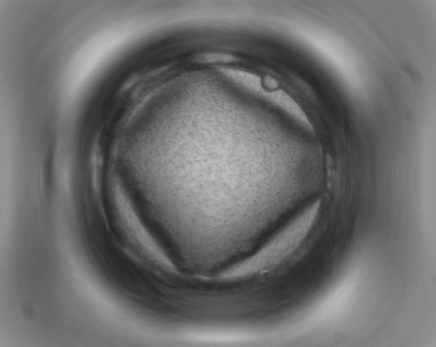 X0000113881151200910151308