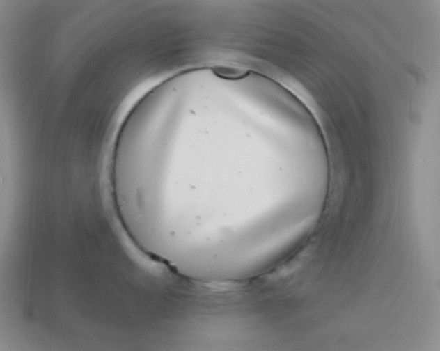 X0000113881152200910151308