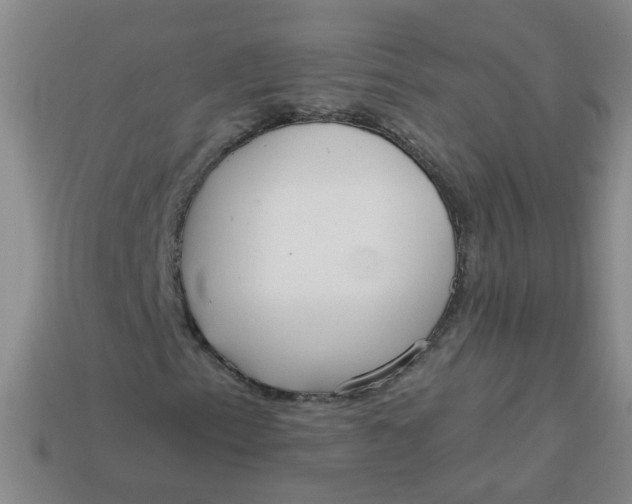 X0000113881153200910151307