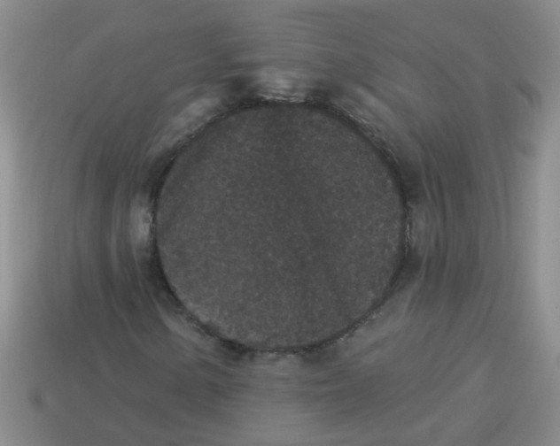 X0000113881154200910151307