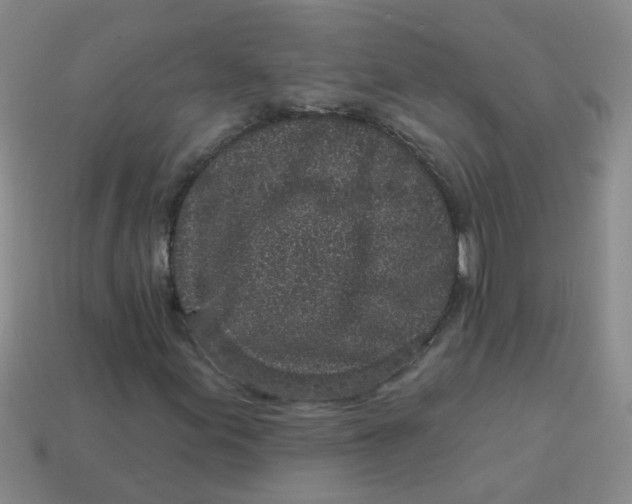 X0000113881155200910151307