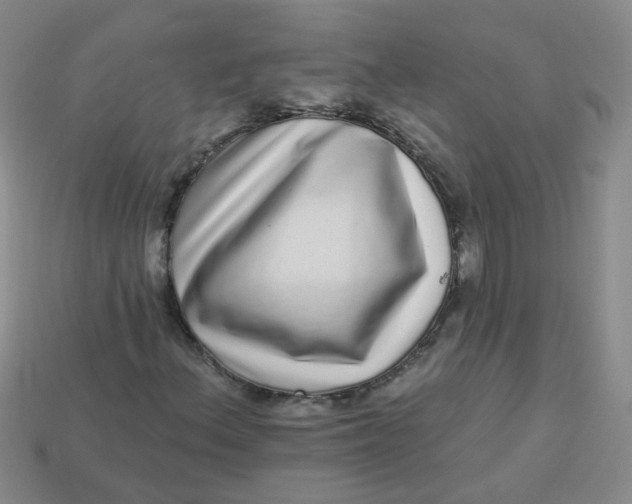 X0000113881156200910151307