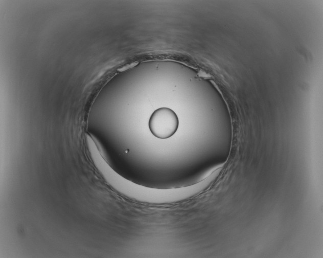 X0000113881157200910151307