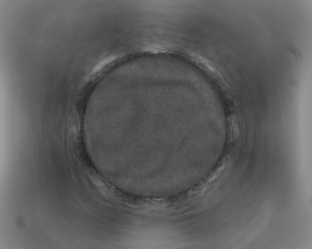 X0000113881158200910151307