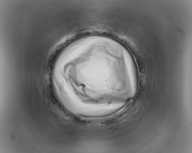 X0000113881159200910151307