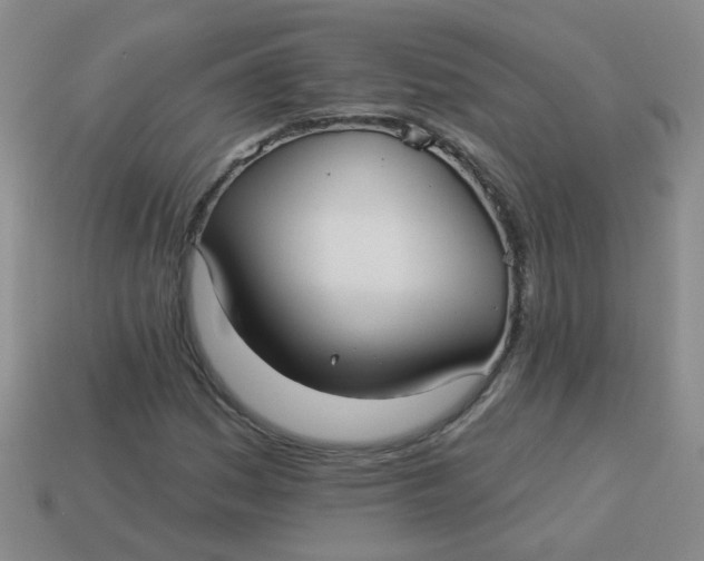 X0000113881161200910151307