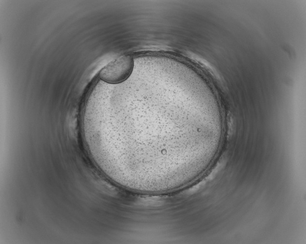 X0000113881162200910151307