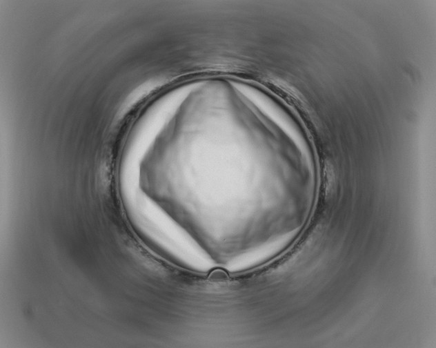 X0000113881163200910151307