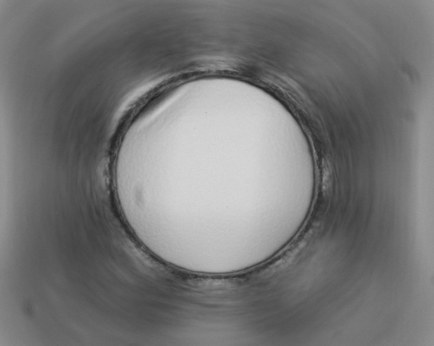 X0000113881164200910151307